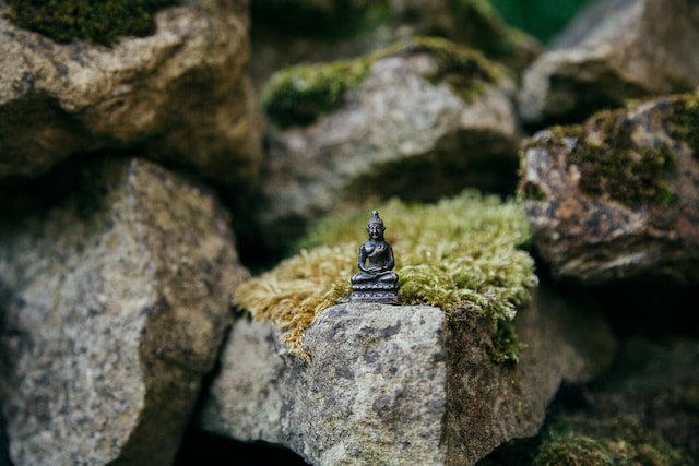 zen garden