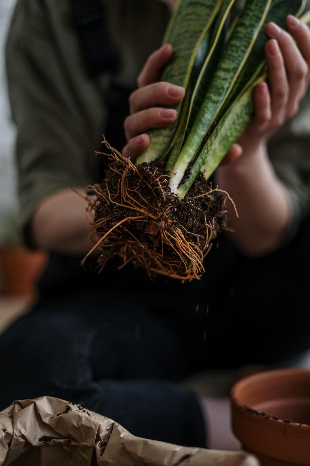 potting soil mix for container gardening
