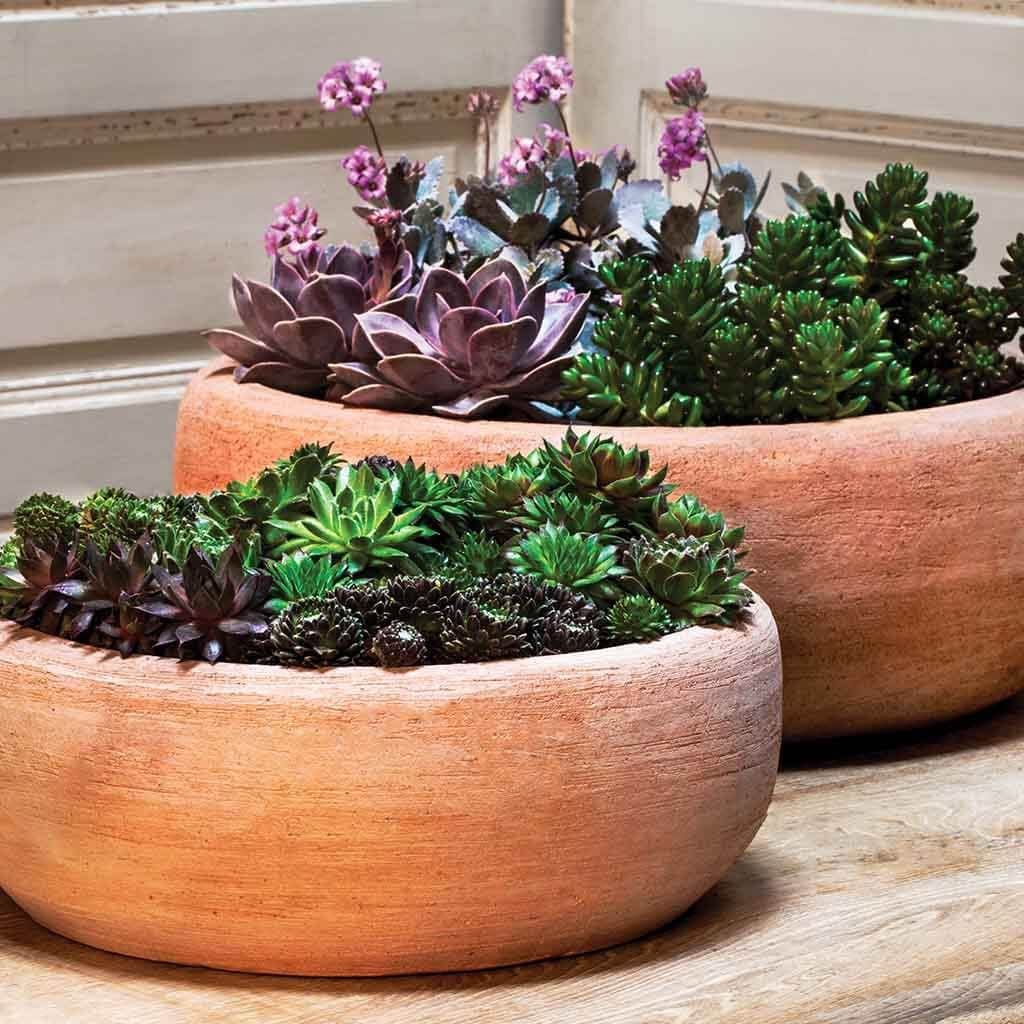terra cotta succulent planter Annalise Planter Nested Set of 2