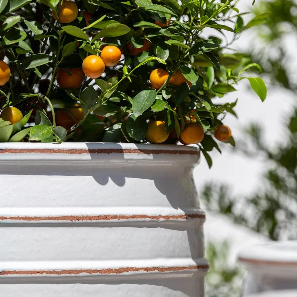 Vari Planter Nested Set of 3 | Glazed Collection