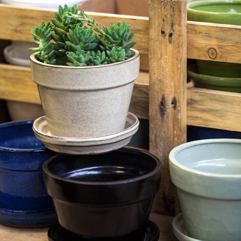 Garden Terrace Small Round Mixed Crate Set of 16