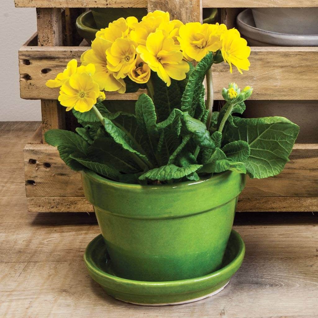 Garden Terrace Small Round Mixed Crate Set of 16