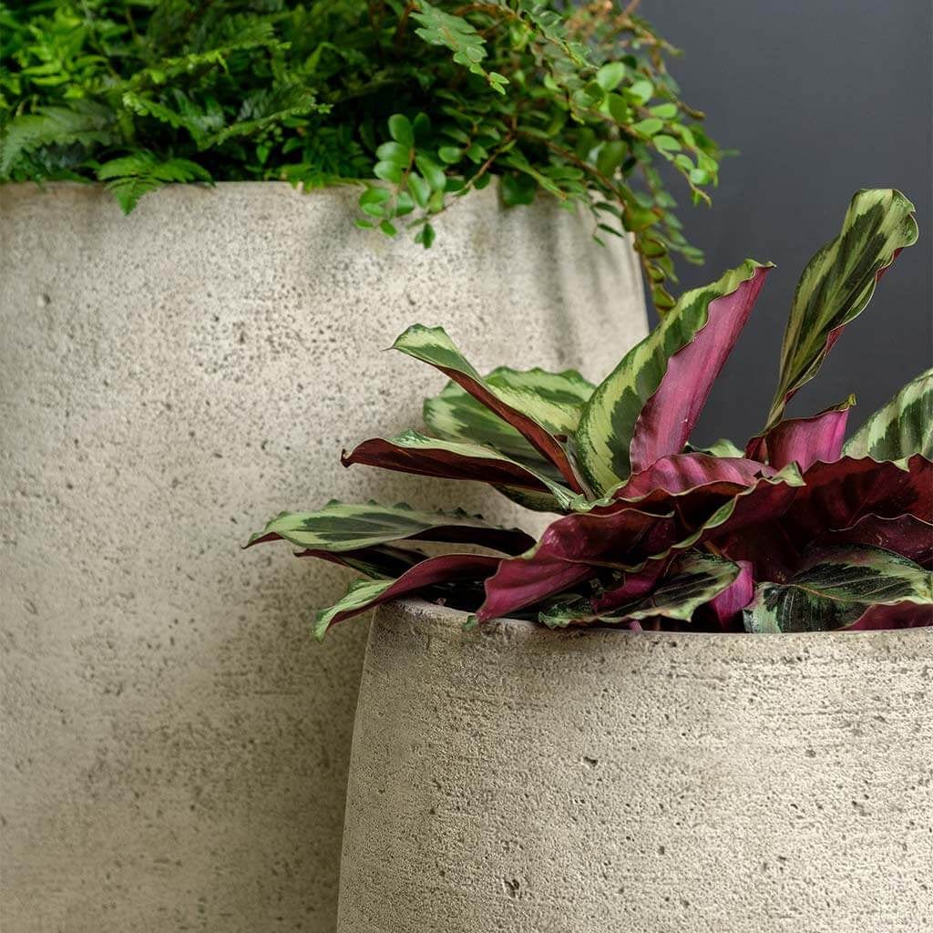 Bebel Tall Cast Stone Planter