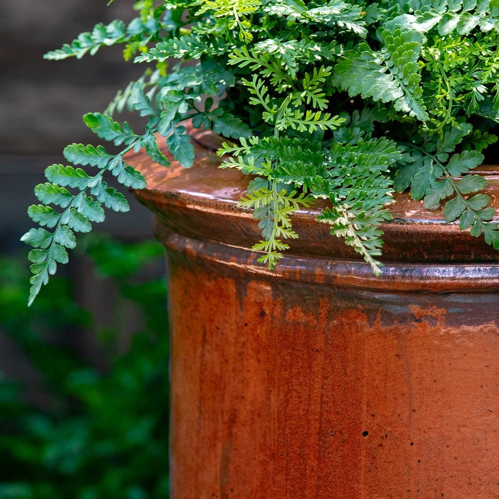 Vaucluse Urn Planter | Glazed Collection