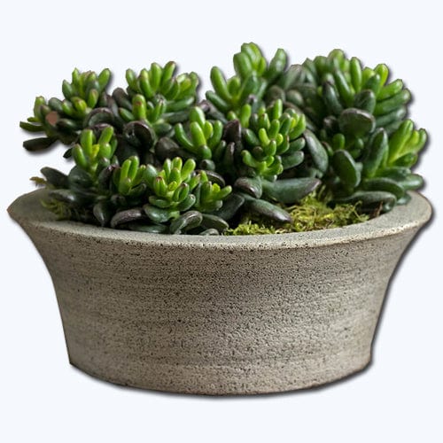 Bulb Cast Stone Planter
