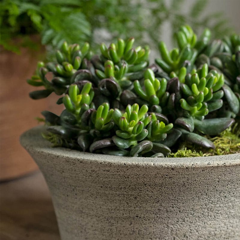 Bulb Cast Stone Planter