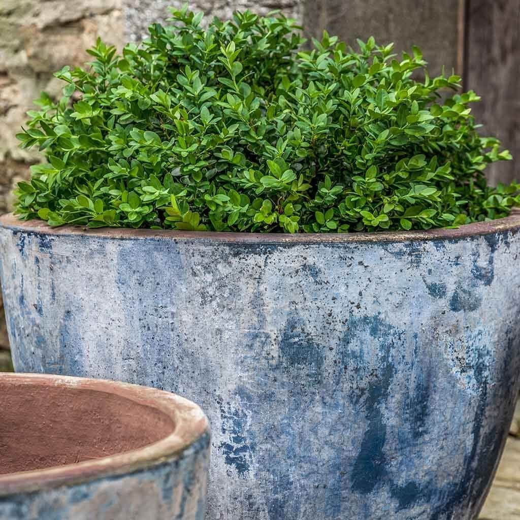 Cassia Planter Set of 4 | Vicolo Antico Collection