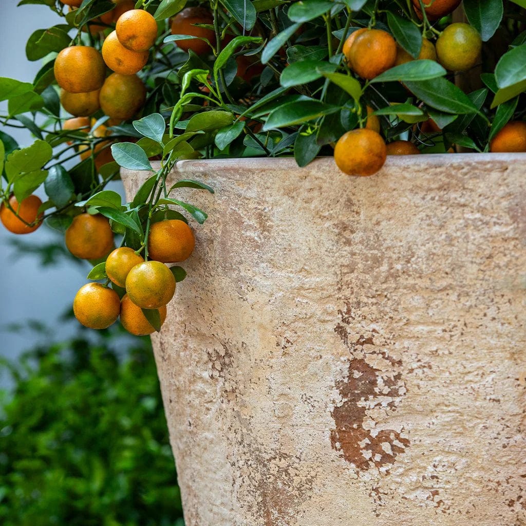 Catena Planter 20" | Terra Cotta Collection