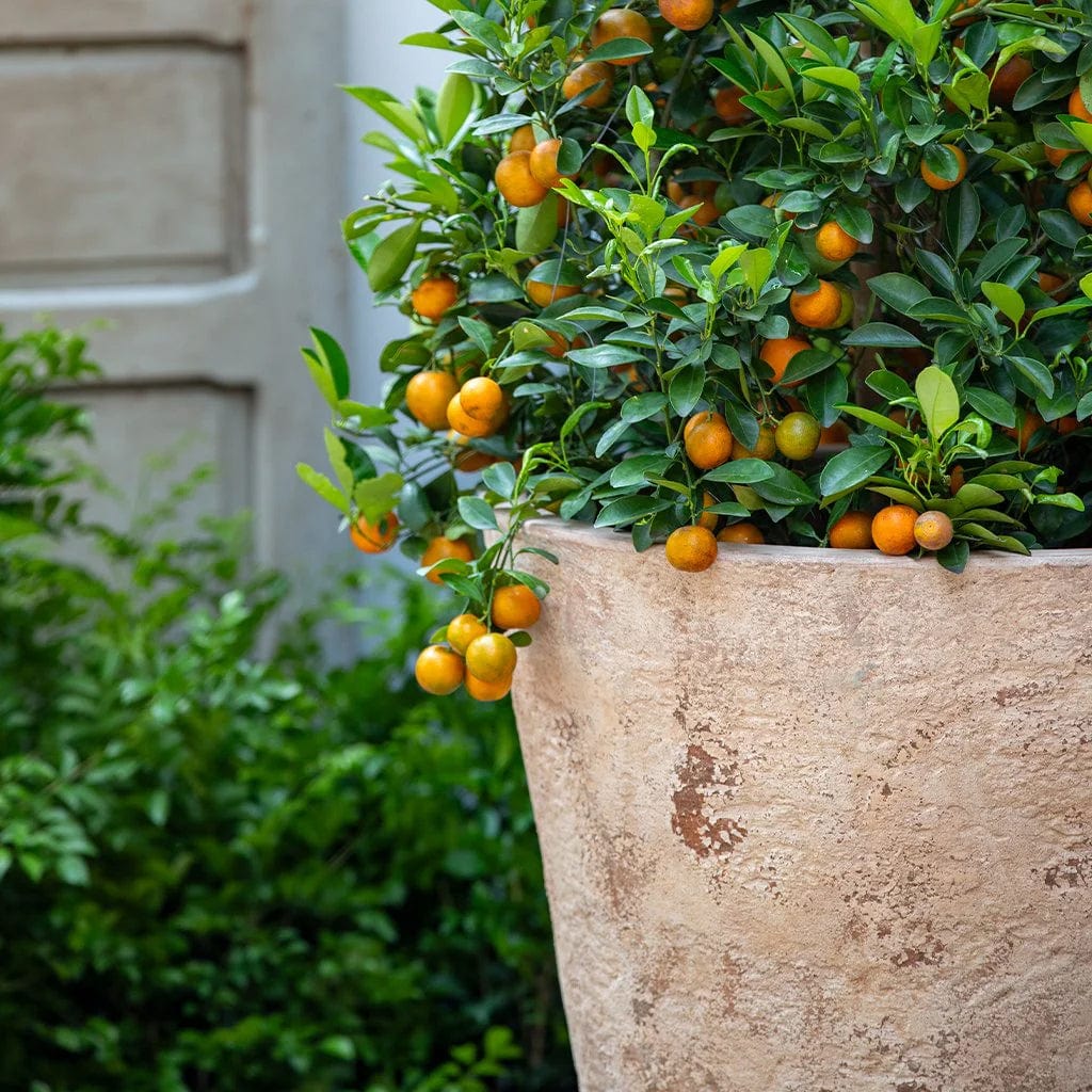 Catena Planter 20" | Terra Cotta Collection