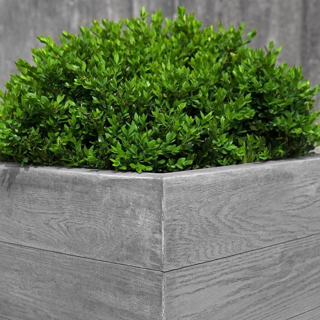Chenes Brut Tall Garden Box Planter