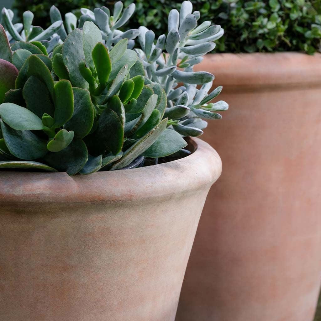 Cortona Terra Cotta Planter Set of 3 in Antico Terra Cotta Finish