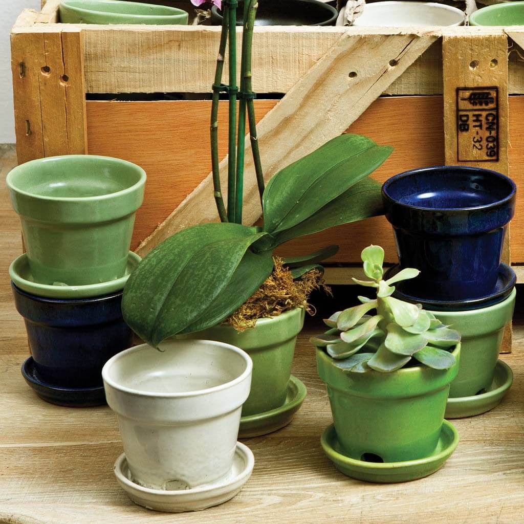 Garden Terrace Crate Set of 48 in Assorted Glaze