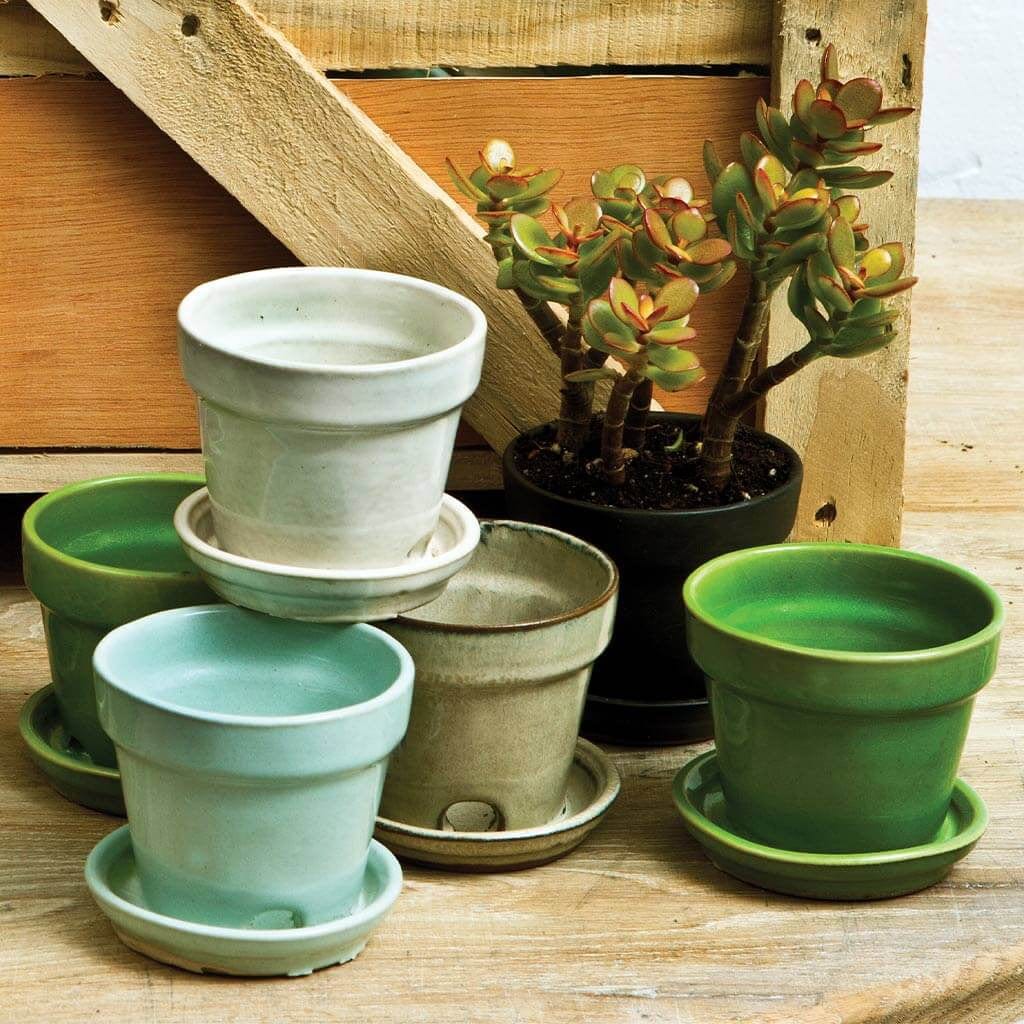 Garden Terrace Crate Set of 48 in Assorted Glaze