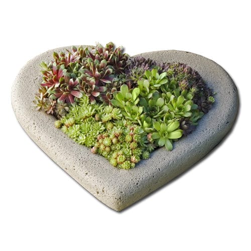 Large Heart Shell Cast Stone Birdbath