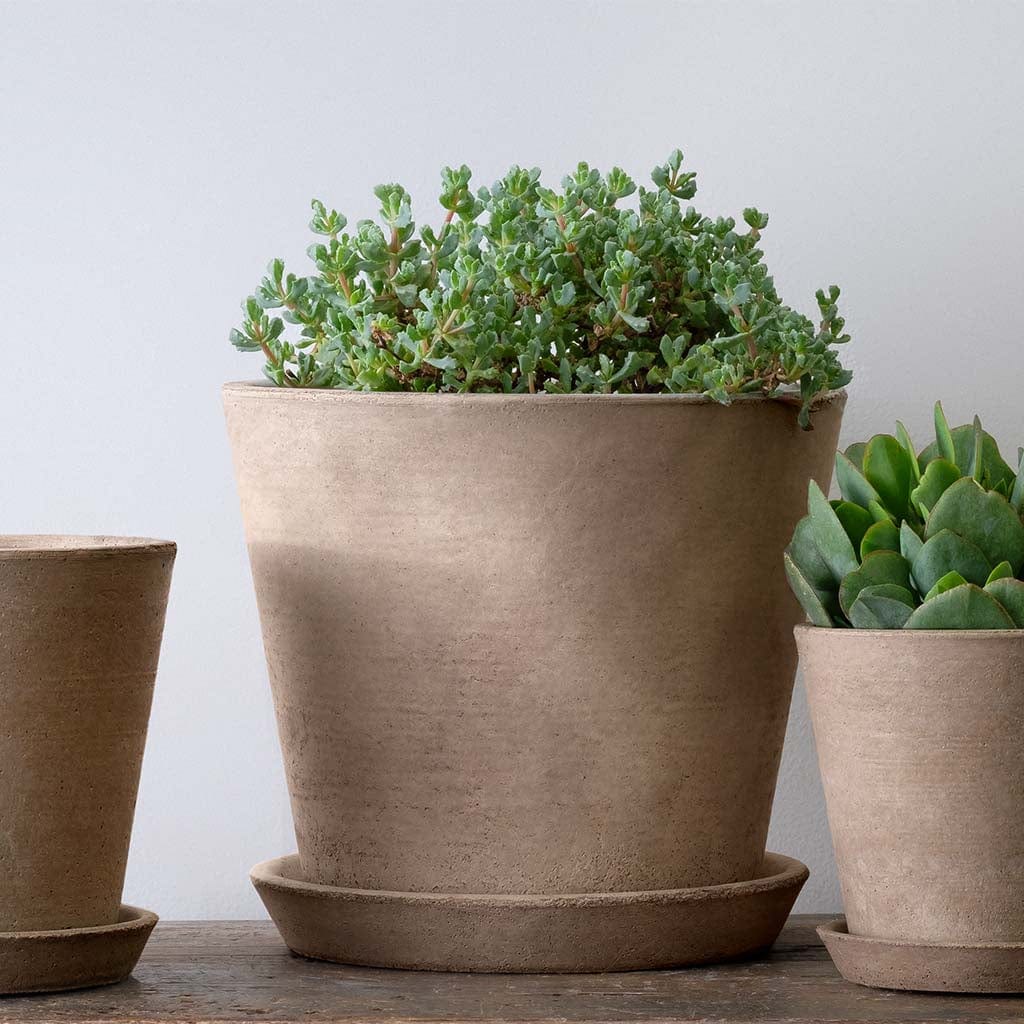large concrete indoor planter Essential Large Planter