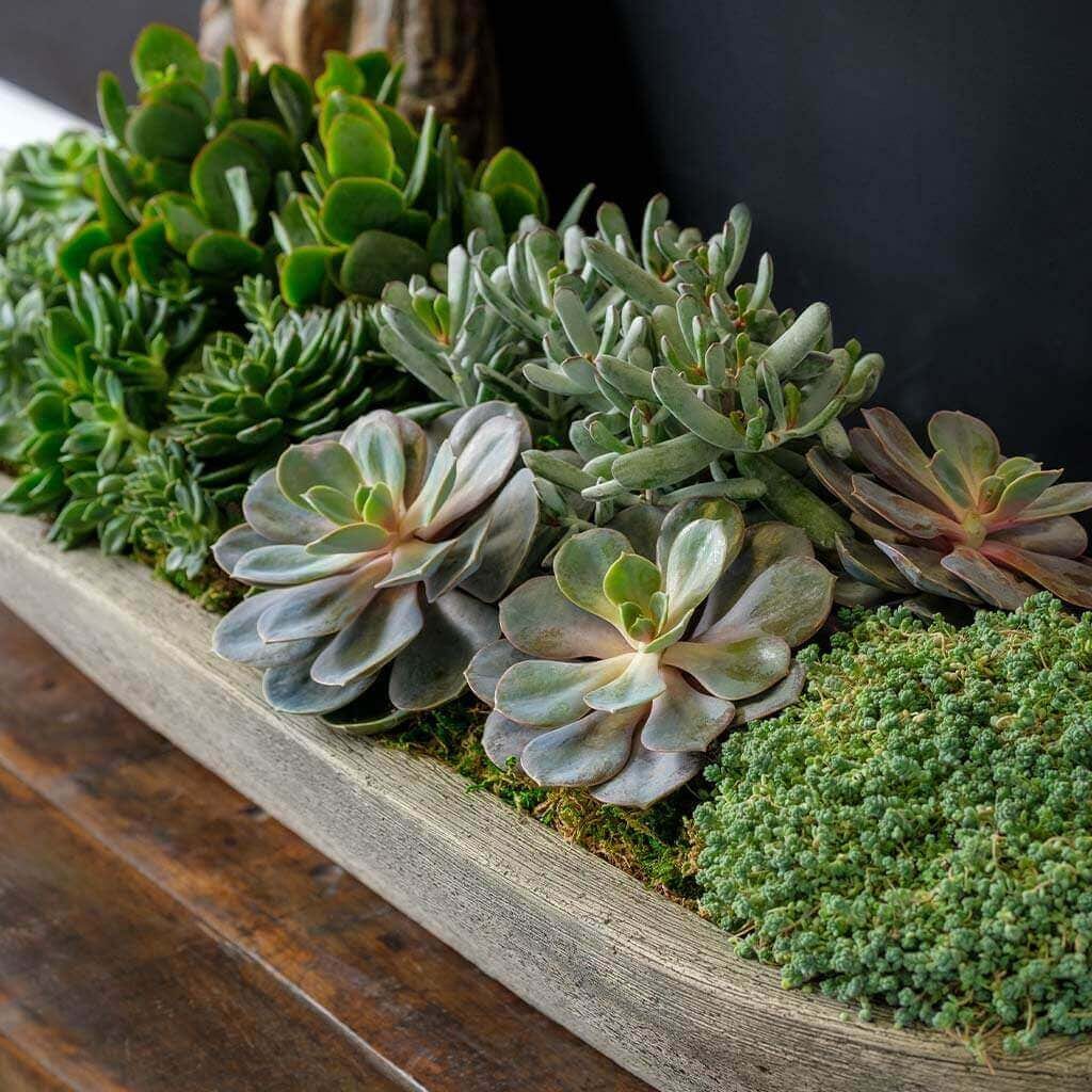 Barca Garden Planter