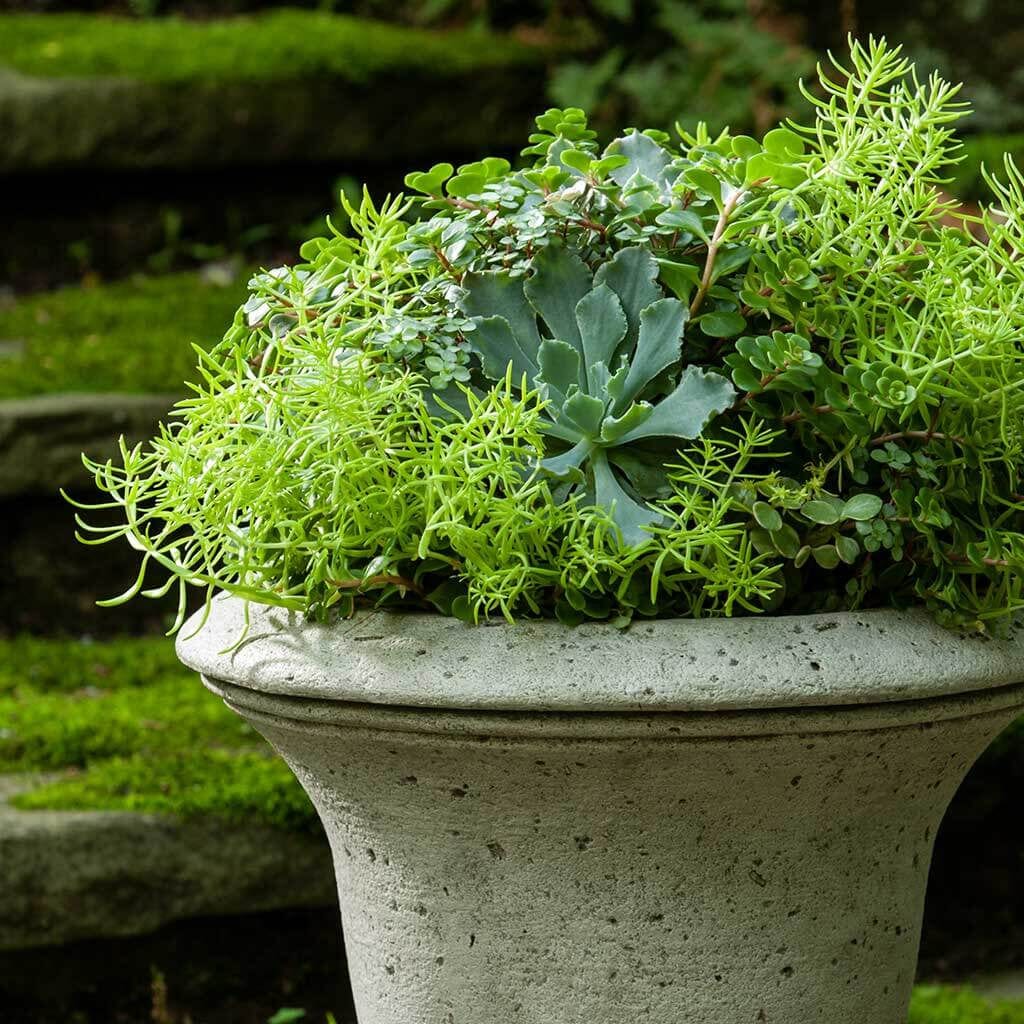Linwood Urn Garden Planter