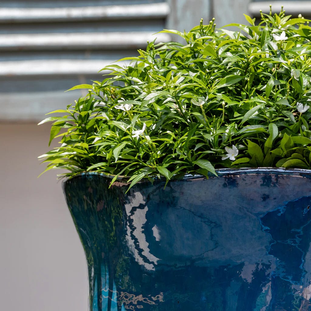 Foxglove Planter Nested Set of 3 | Glazed Collection