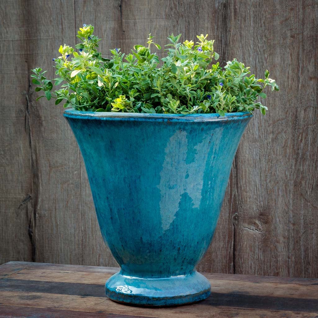 Caterine Urn Planter | Glazed Collection