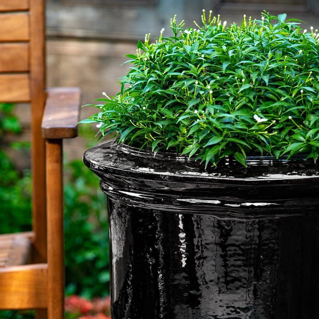 Vaucluse Urn Planter | Glazed Collection