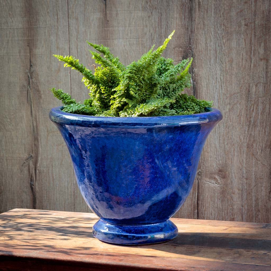 Jacqueline Urn Planter | Glazed Collection