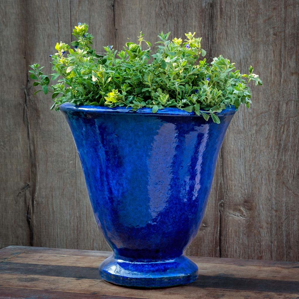 Caterine Urn Planter | Glazed Collection