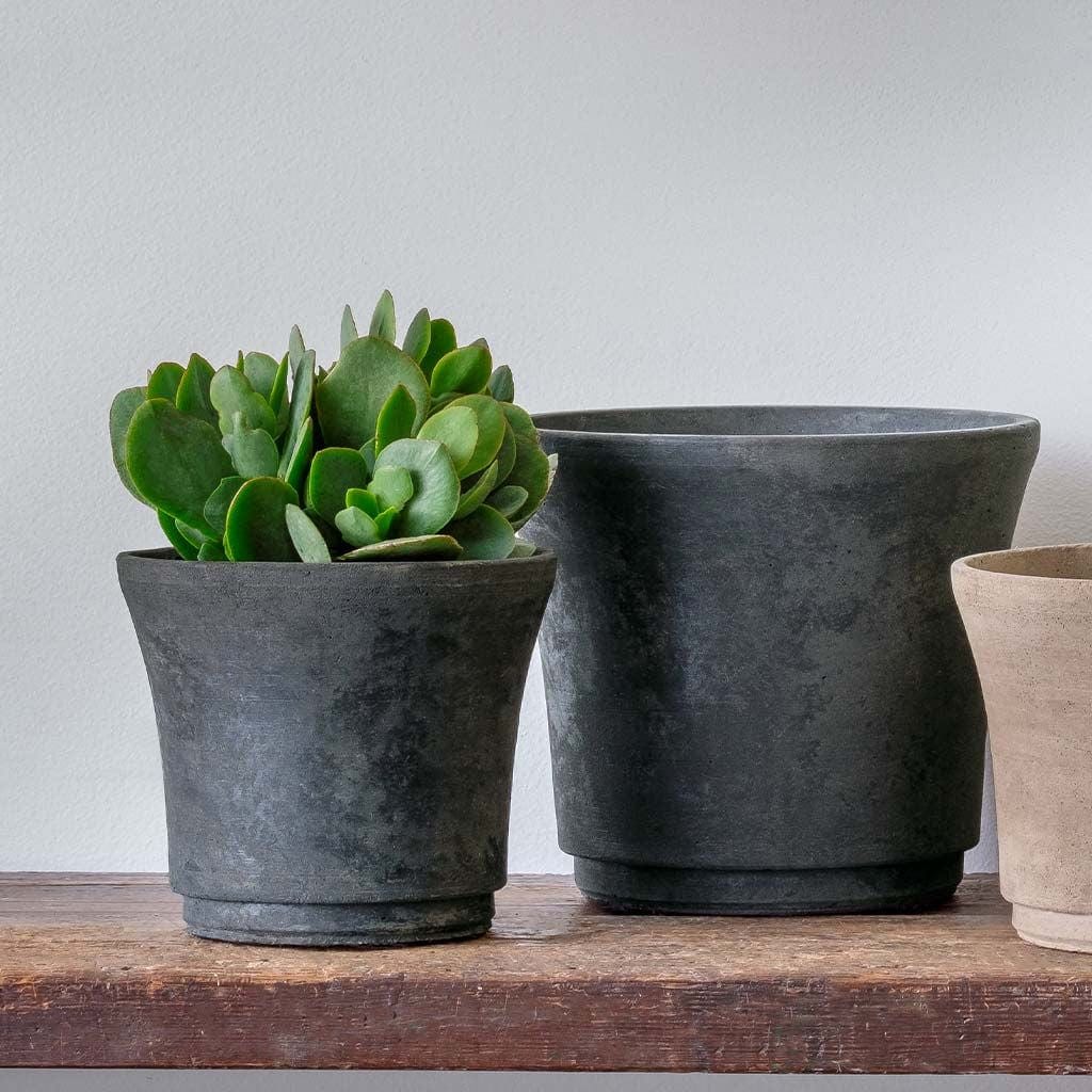 Cloche Small Lightweight Cast Stone Concrete Terrace Planter in Charcoal