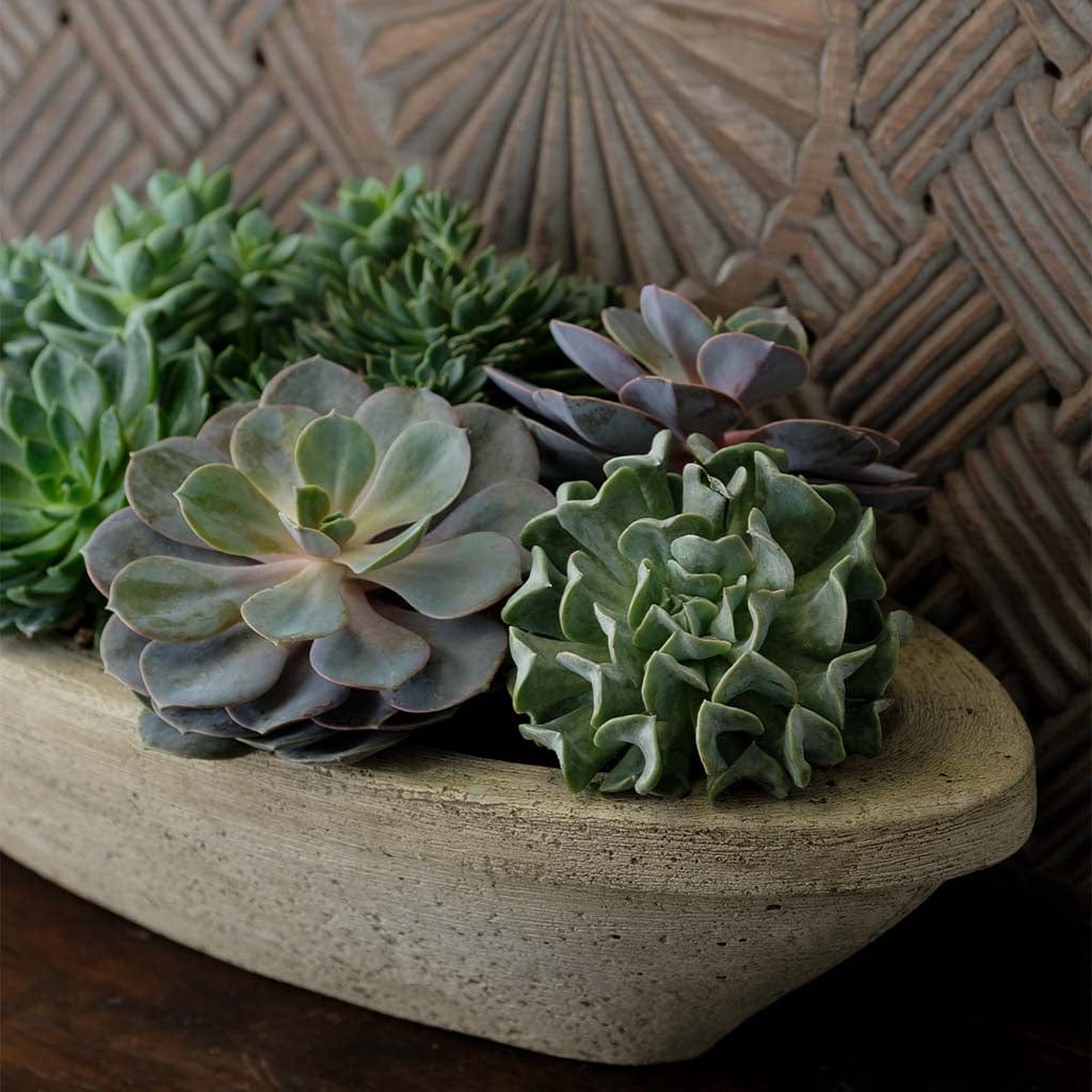 Barca Garden Planter