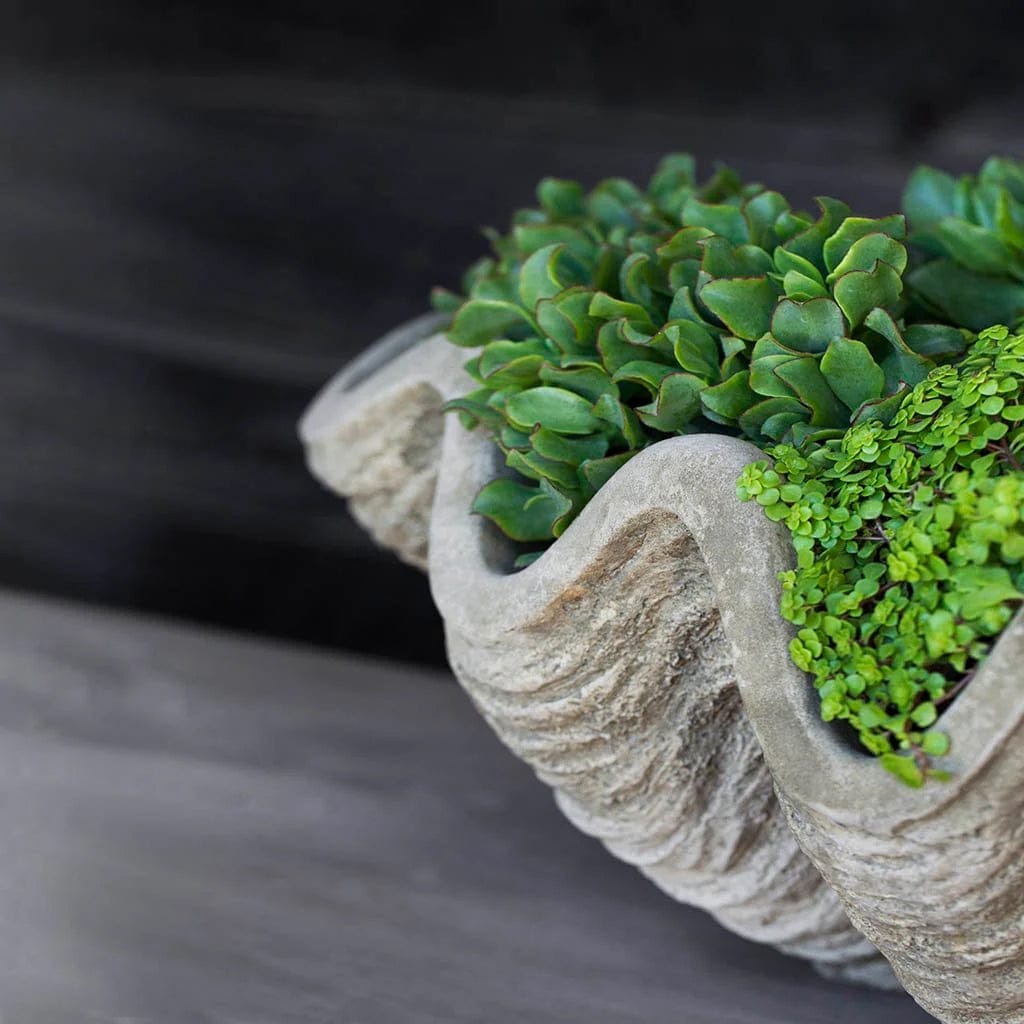 South Seas Garden Planter - Large