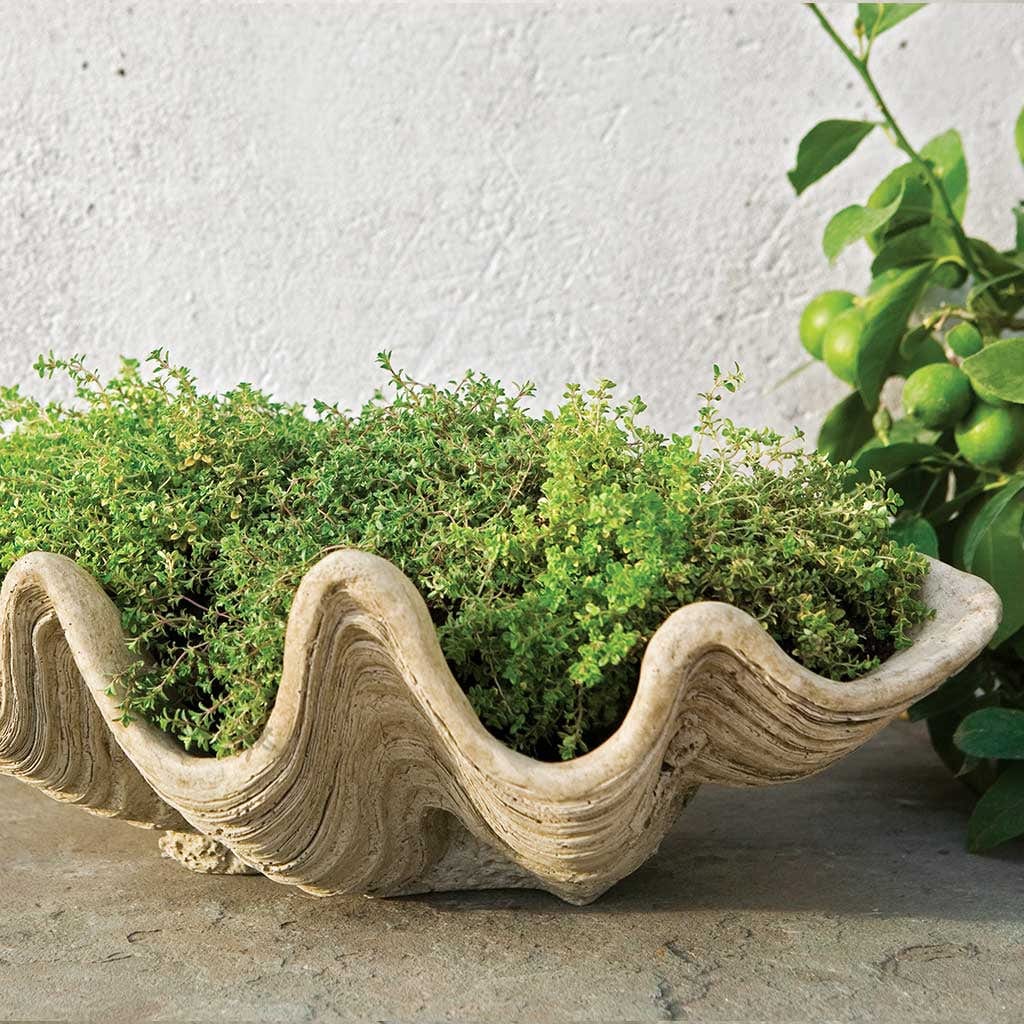 South Seas Garden Planter