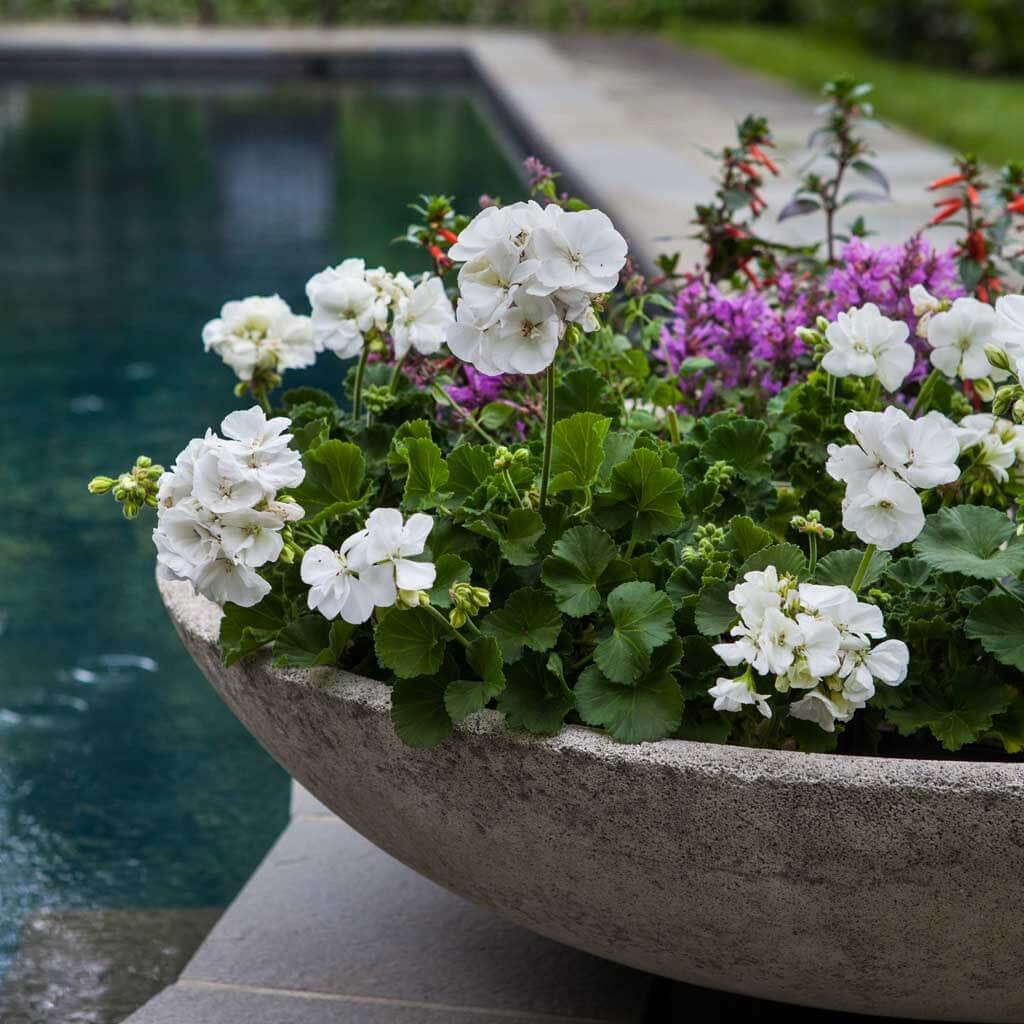 Textured Zen Bowl Garden Planter
