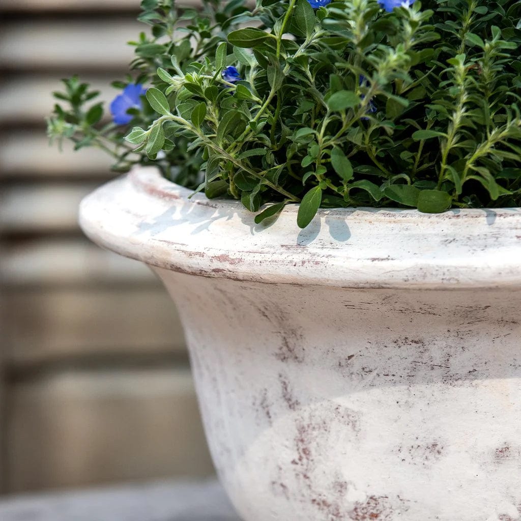 Margaux Urn Planter | Glazed Collection