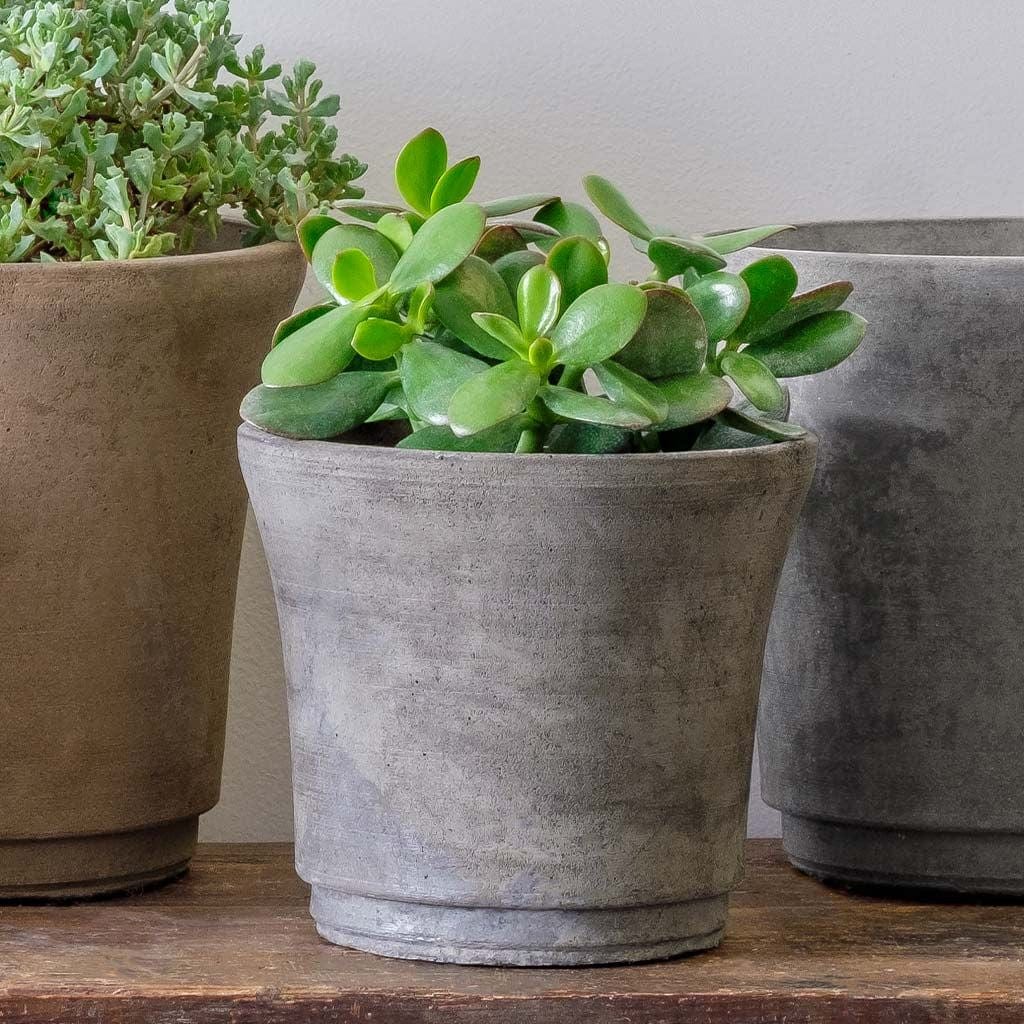 Cloche Extra Small Lightweight Cast Stone Concrete Terrace Planter in Grey