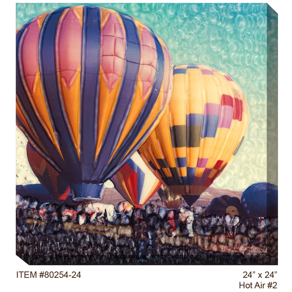 Hot Air #2 Outdoor Canvas Art - Outdoor Art Pros