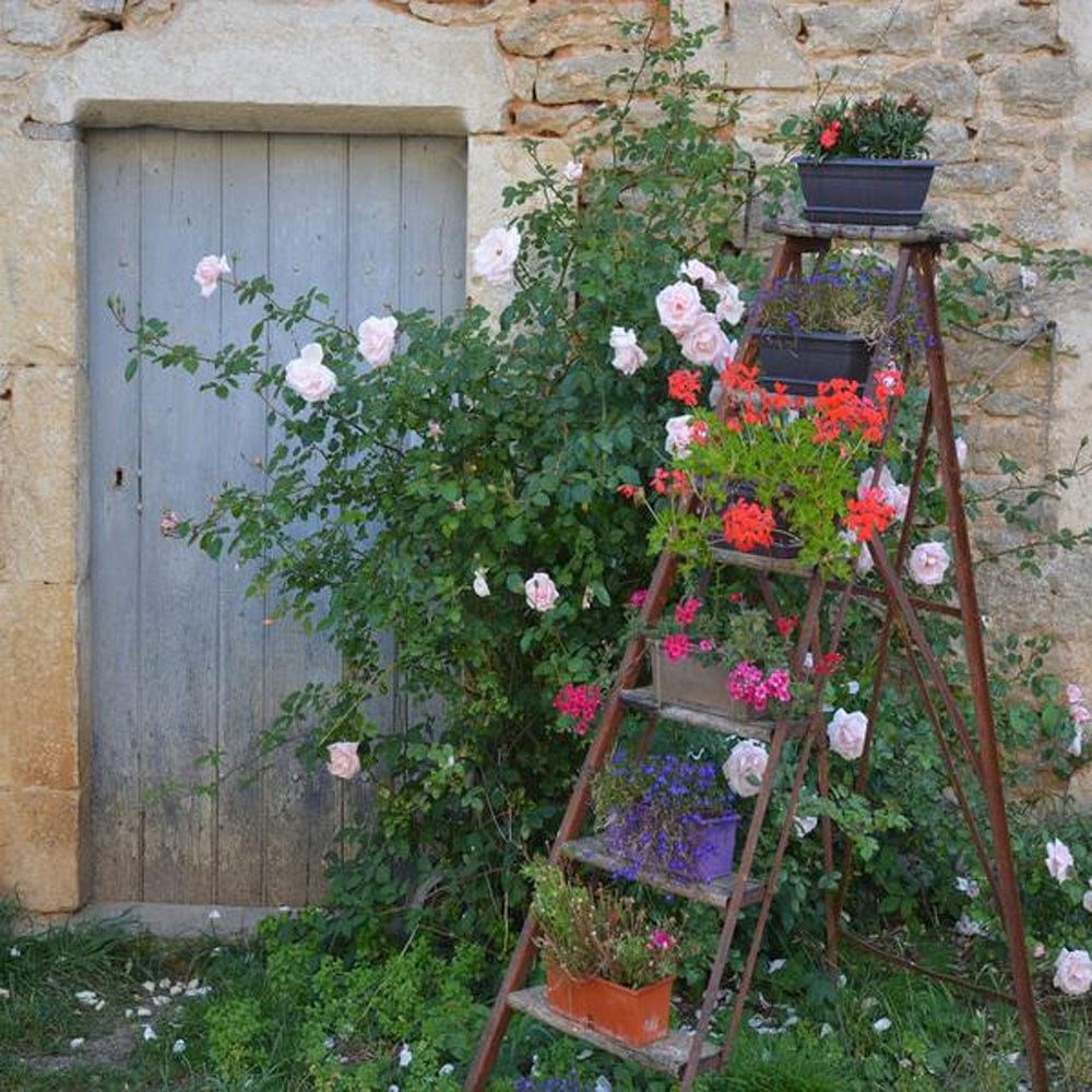 Vintage Ladder Outdoor Canvas Art - Outdoor Art Pros