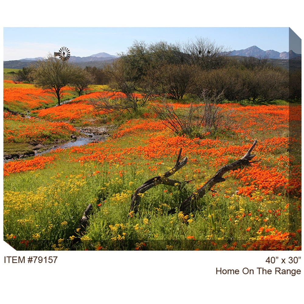 Home on the Range Outdoor Canvas Art - Outdoor Art Pros