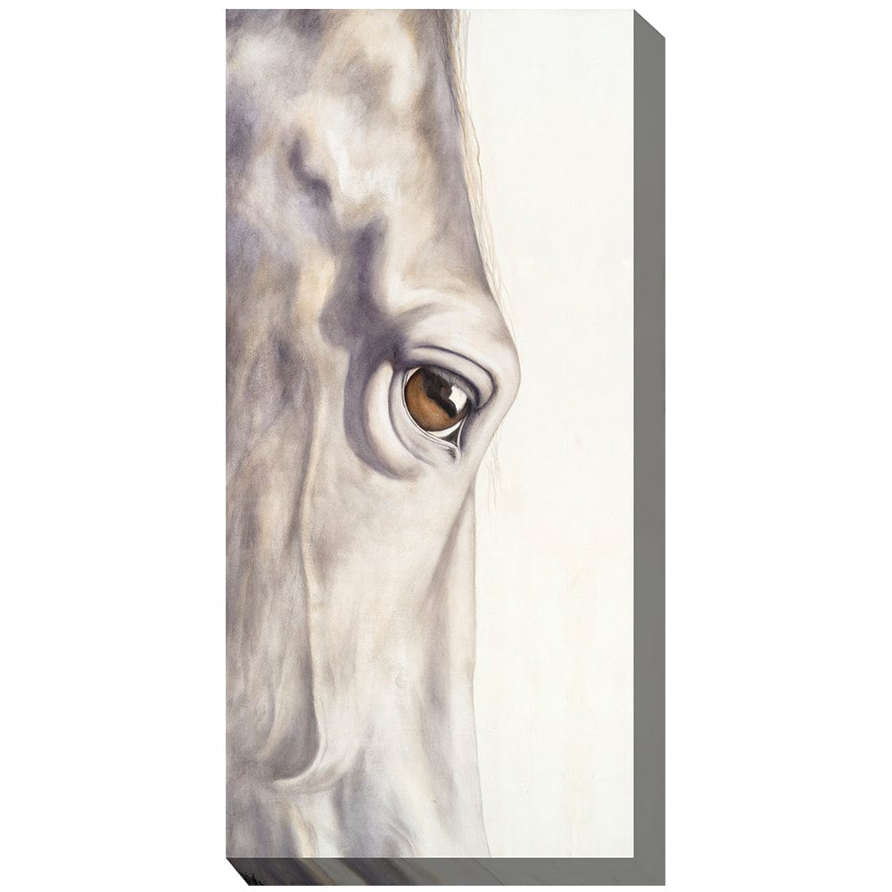 Pale Long Eye Outdoor Canvas Art - Outdoor Art Pros