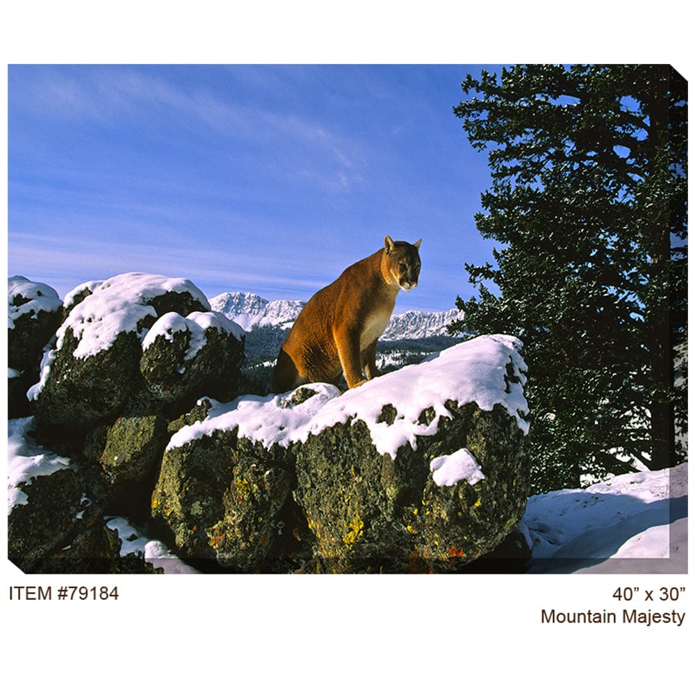 Mountain Majesty Outdoor Canvas Art - Outdoor Art Pros