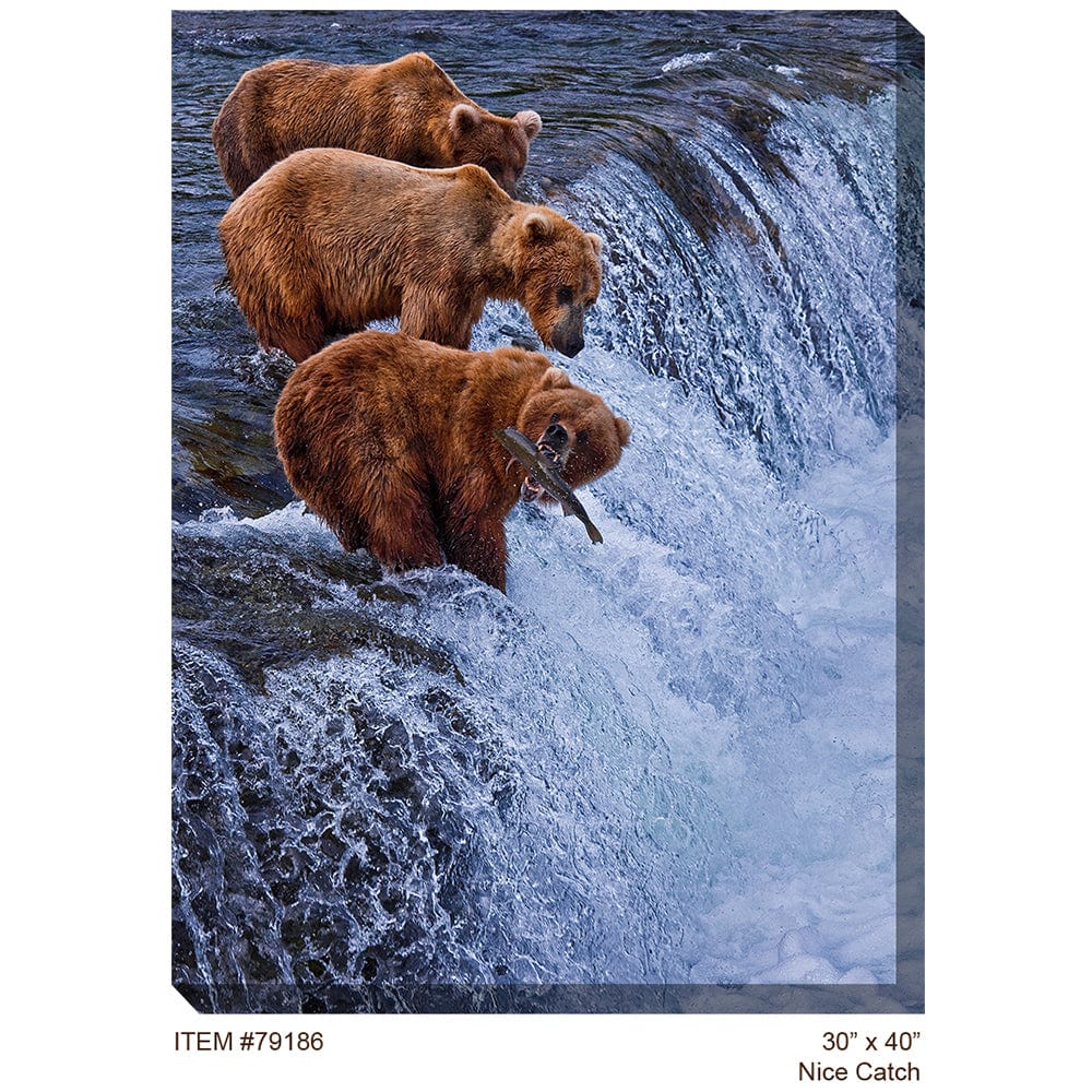 Nice Catch Outdoor Canvas Art - Outdoor Art Pros