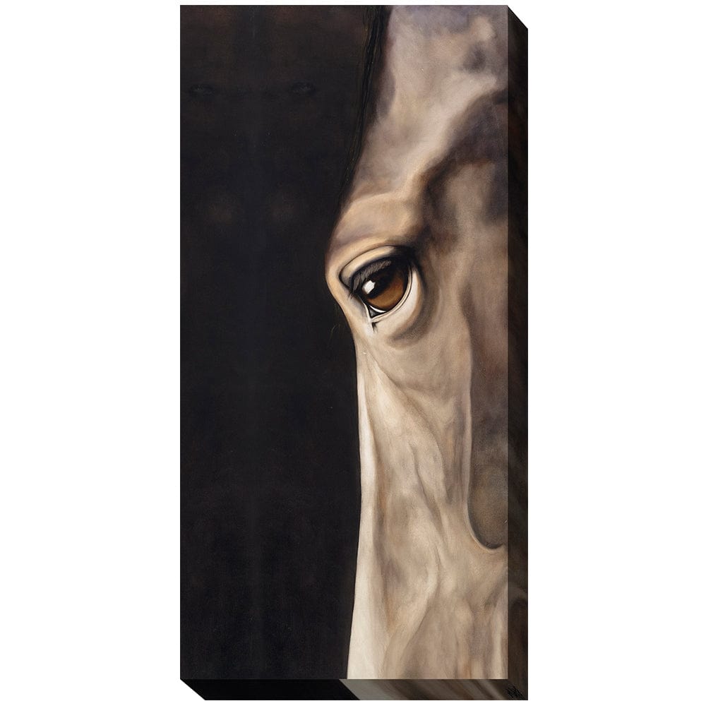 Long Dark Eye Outdoor Canvas Art - Outdoor Art Pros