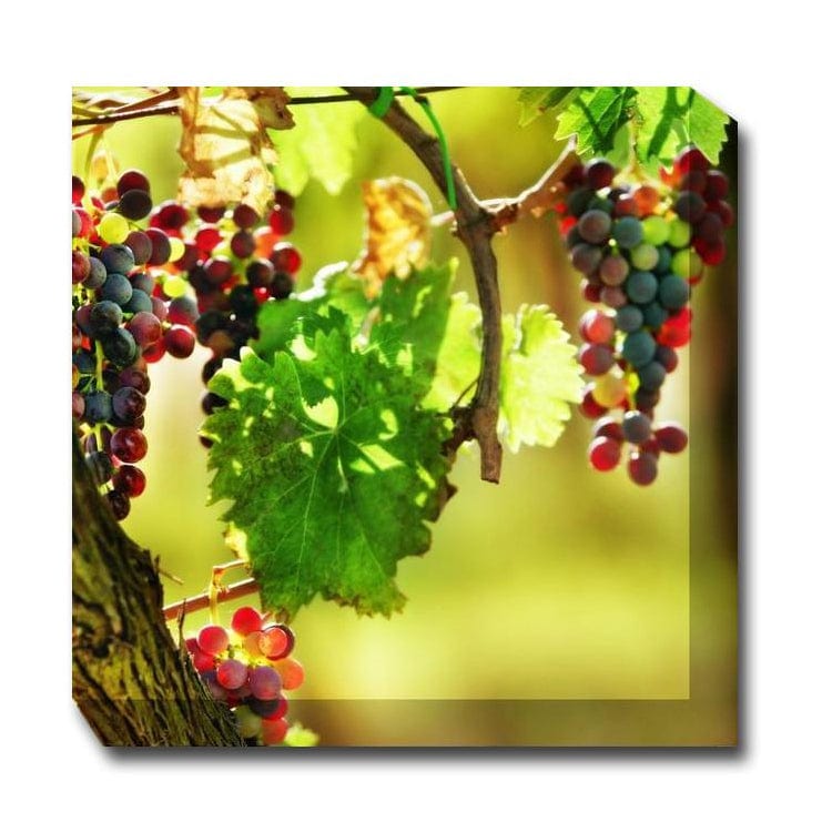 Agosto Outdoor Canvas Art - Outdoor Art Pros