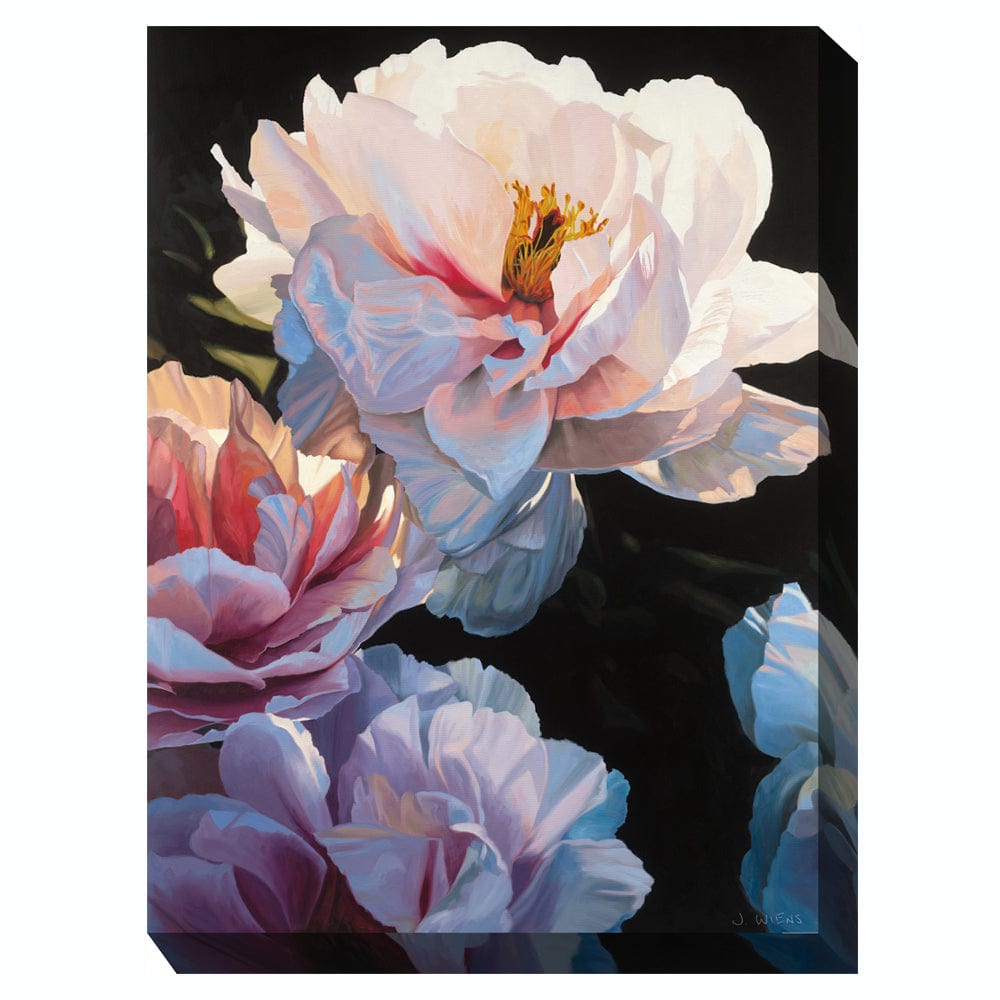 Blushing Beauty Outdoor Canvas Art - Outdoor Art Pros