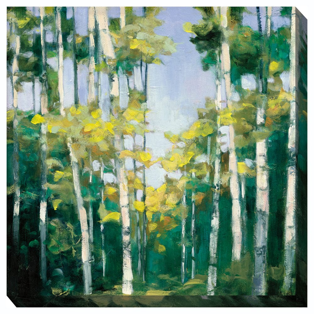 Creek Branches No 1 Outdoor Canvas Art - Outdoor Art Pros