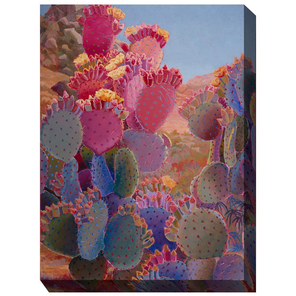 Painted Desert Outdoor Canvas Art - Outdoor Art Pros