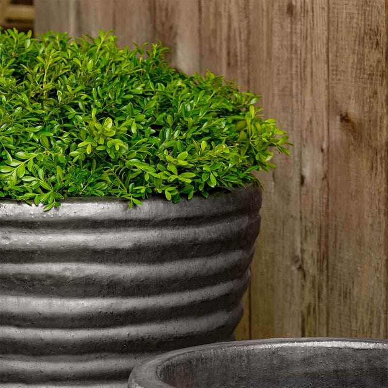 Round Ruffle Planter Nested Set of 3 | Glazed Collection