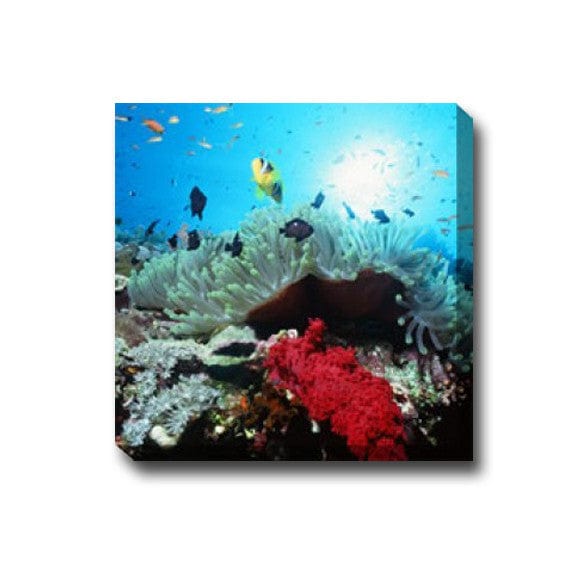Underwater Playground Canvas Wall Art