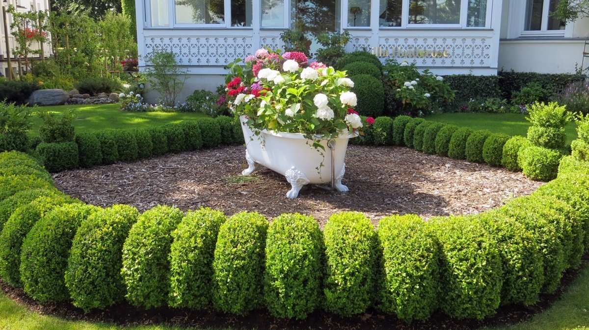 creating your dream garden