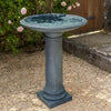 How to Attract Birds to Your Bird Bath