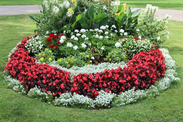 flower bed