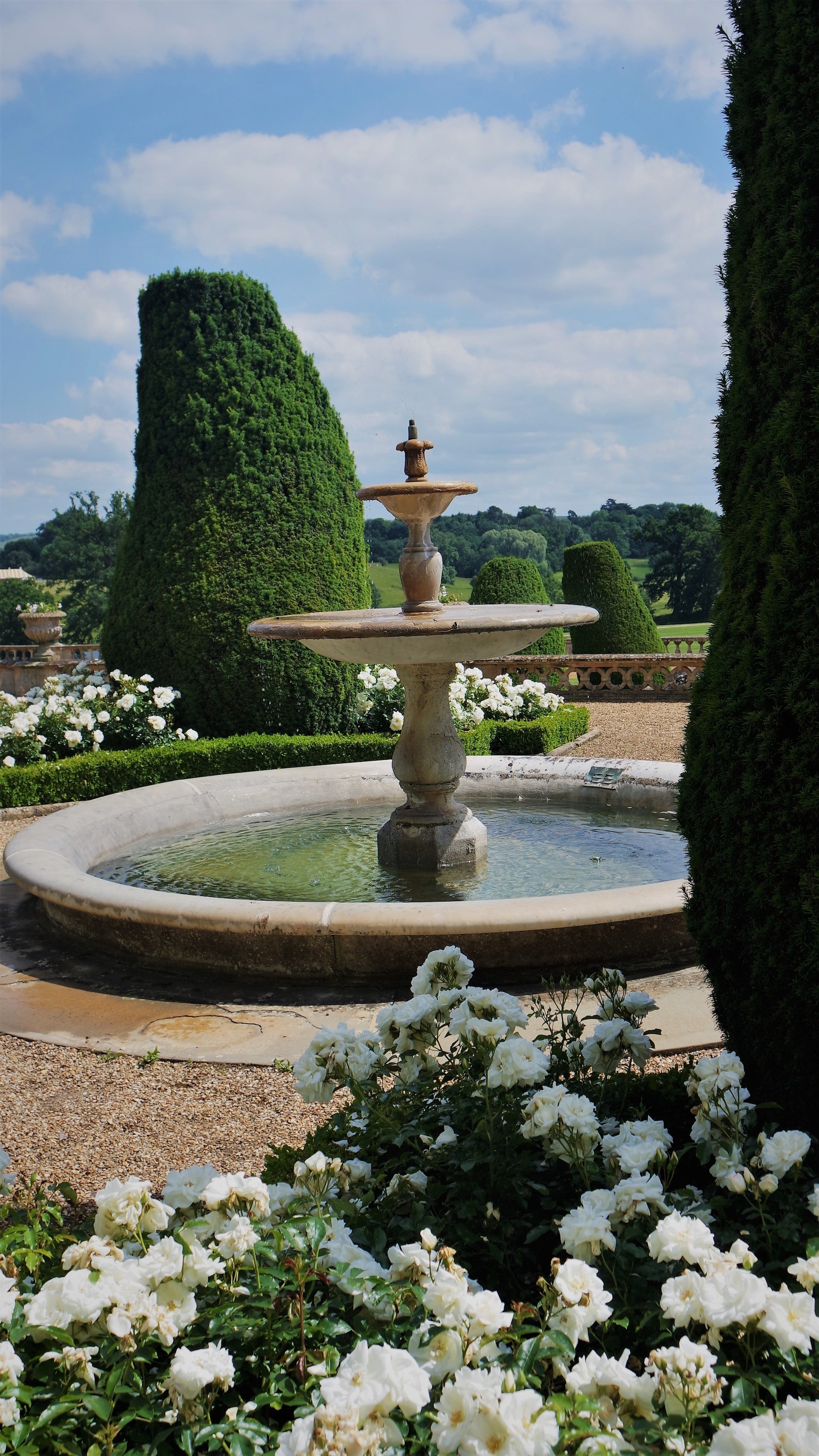 water feature surrounded with plants and flowers